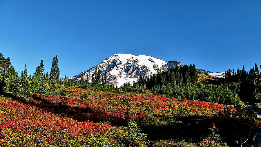 Mt Rainier Fall  #1 Painting by Larry Darnell