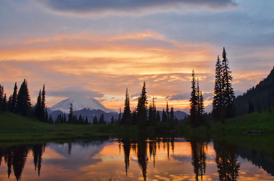 National Parks Photograph - Mt Rainier  #1 by Mike Adams