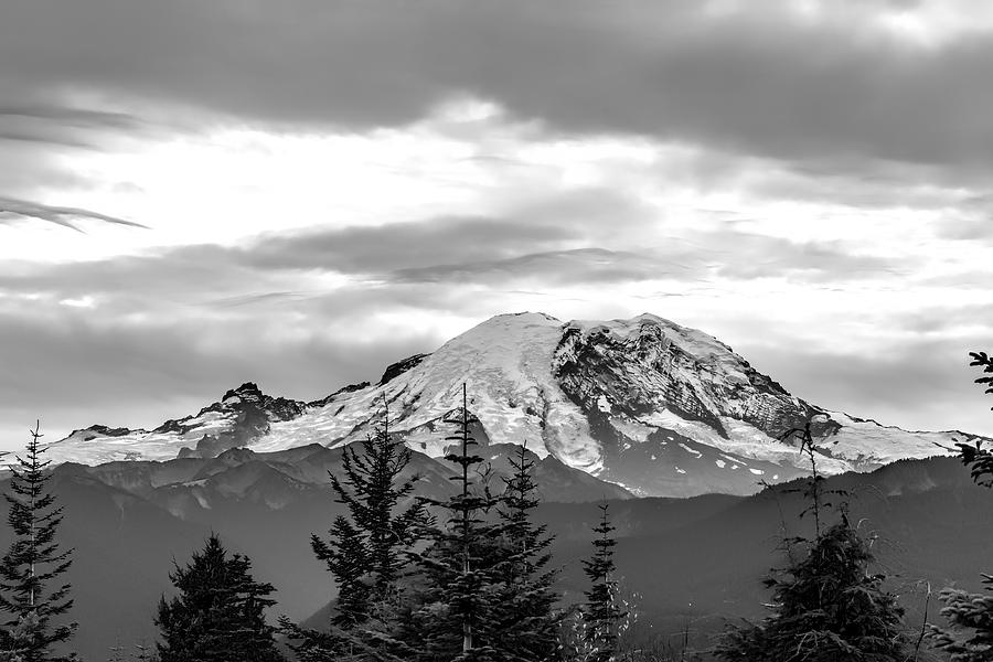 Mt Rainier #1 Photograph by Mike Centioli