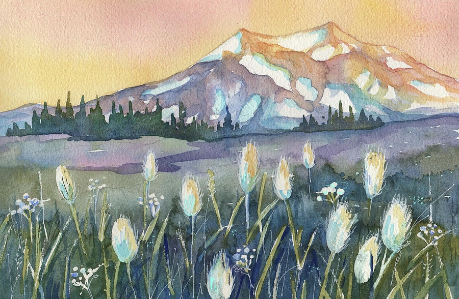 Mt Rainier Sunset #1 Painting by Peggy Wilson