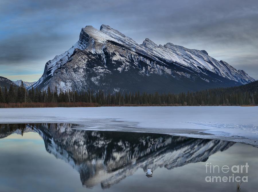 Mt Rundle Reflections #1 Photograph by Adam Jewell