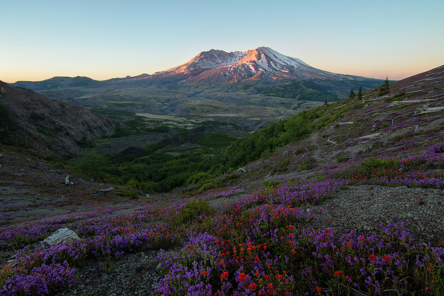 Mt. St. Helens Sunrise Photograph By Ryan Mcginnis - Fine Art America