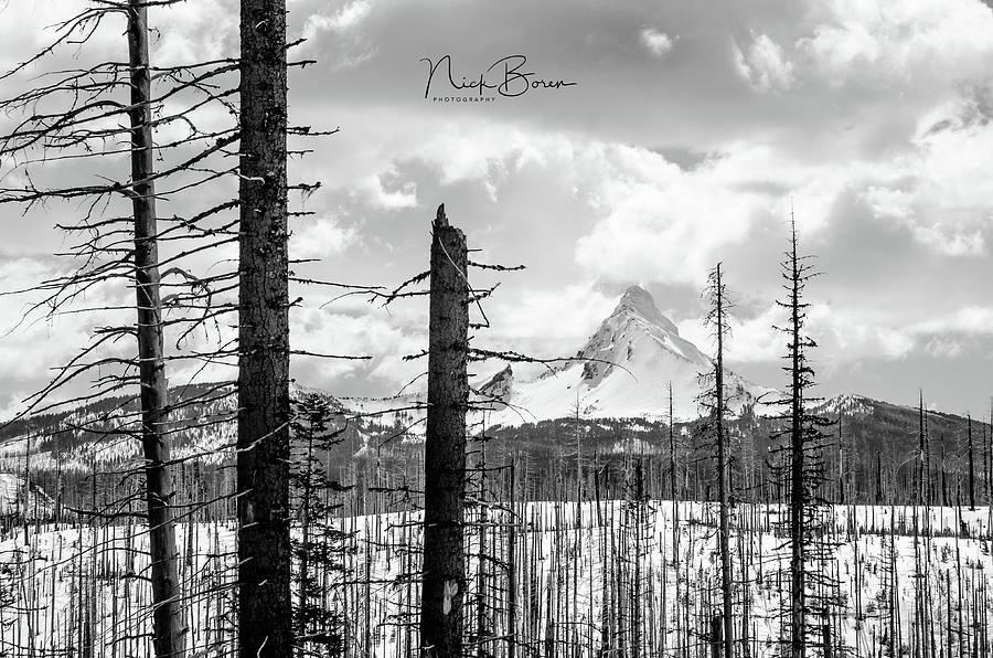 Mt. Washington Landscape #1 Photograph by Nick Boren