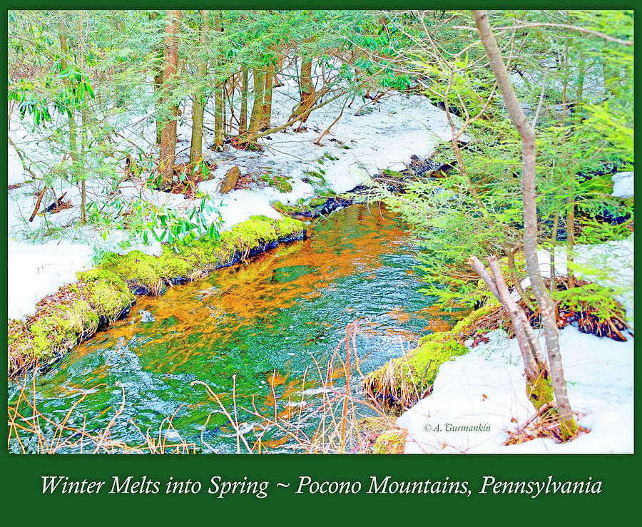 Mud Run Pocono Mountain Stream Pennsylvania Season Change #2 Photograph by A Macarthur Gurmankin