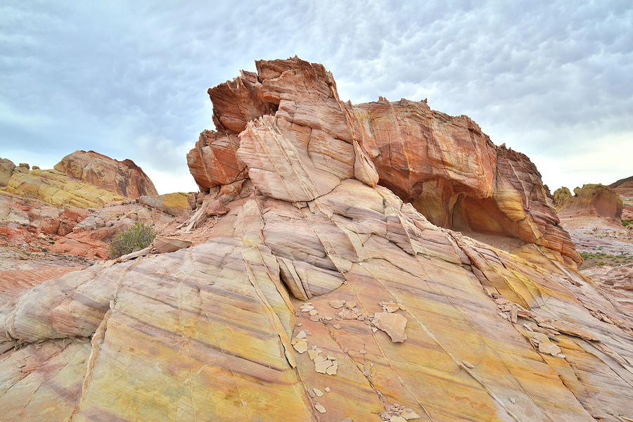Multicolored Castle in Valley of Fire #1 Photograph by Ray Mathis