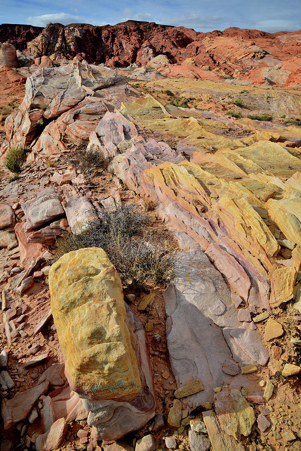 Multicolored Valley of Fire Sandstone #1 Photograph by Ray Mathis