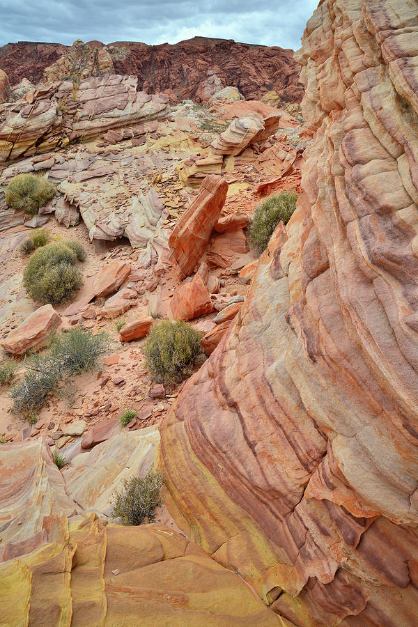 Multicolored Wave of Sandstone in Valley of Fire #1 Photograph by Ray Mathis