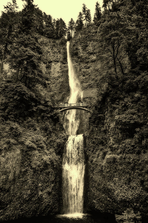 Multnomah Falls #1 Photograph by Mountain Dreams