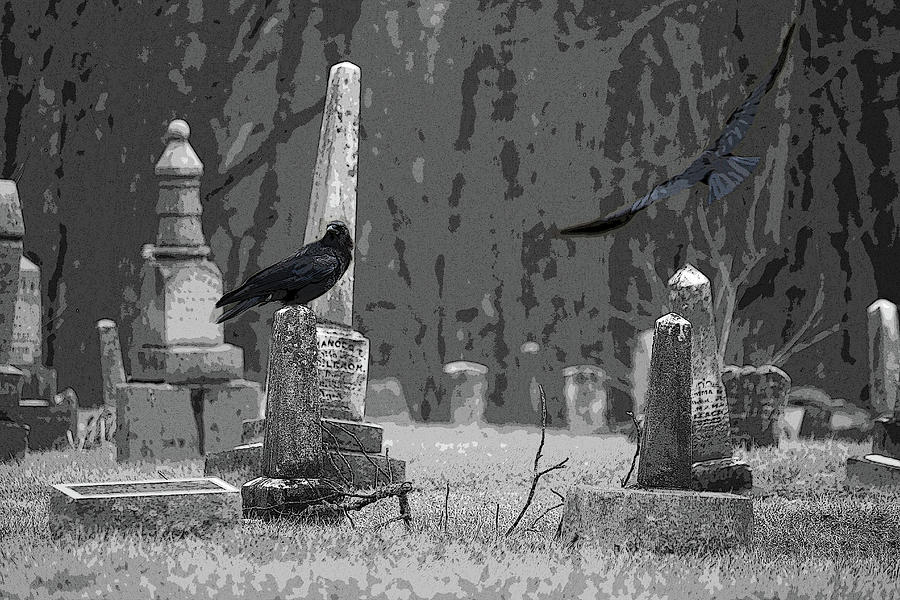 Murder of Crows Photograph by Rowana Ray - Pixels