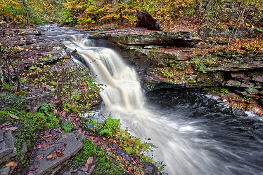 Landscape Photograph - Murray Reynolds Waterfall #2 by Marcia Colelli