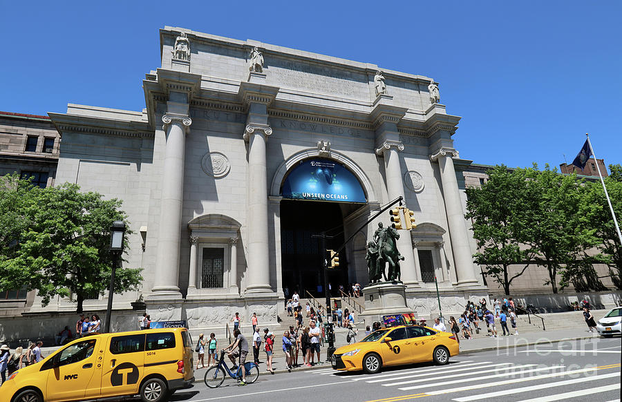 Museum of Natural History #1 Photograph by Steven Spak