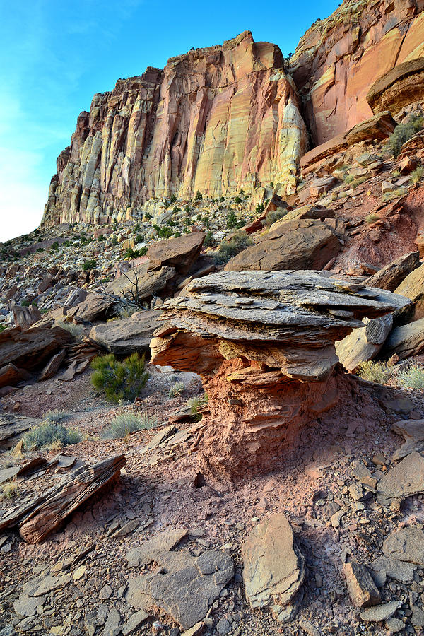 Mushroom Rock #3 Photograph by Ray Mathis