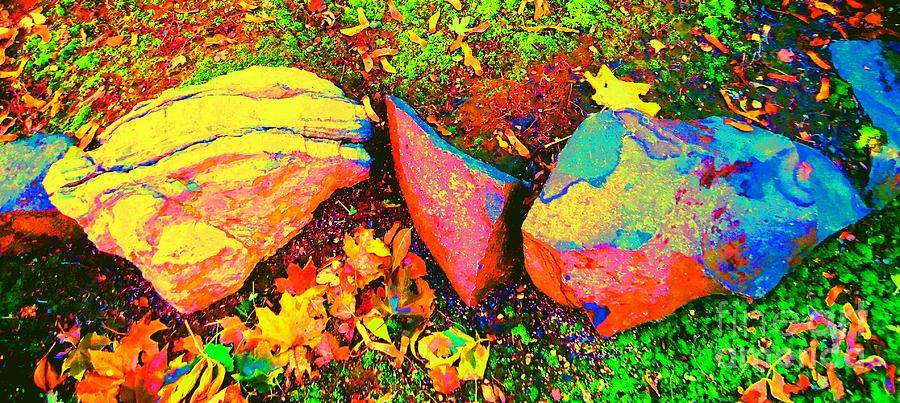 My Back Yard Rocks #1 Photograph by Ann Johndro-Collins