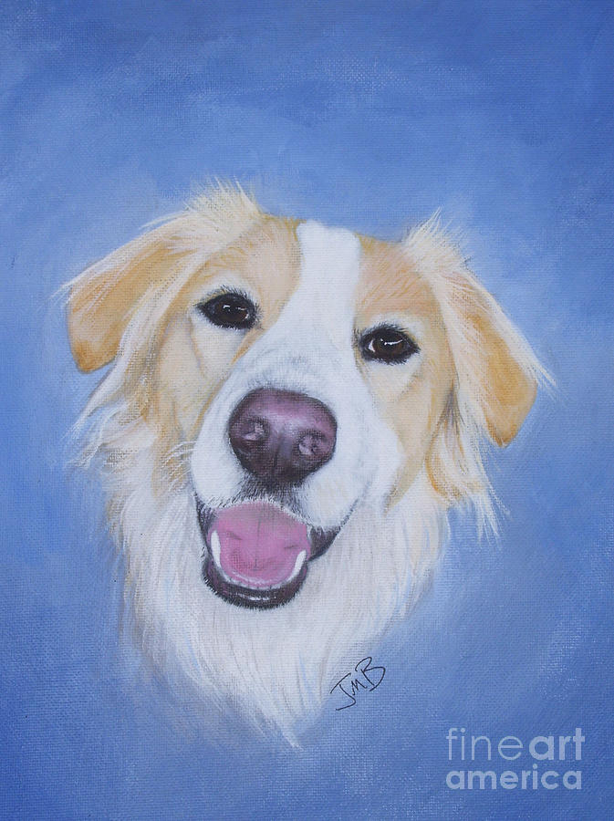 Animal Painting - My Blonde Border Collie by Janice M Booth