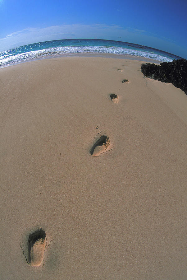 Beach Photograph - My Footprints on Bermuda Beach #1 by Carl Purcell