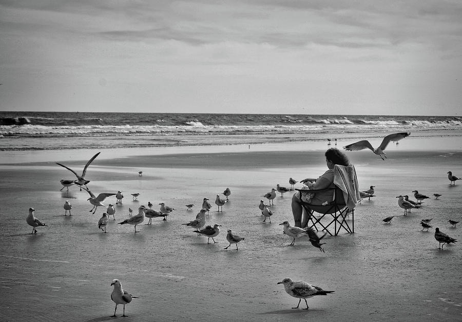 Birds Photograph - Feeding the Birds on Daytona Beach  by Kathy McCabe
