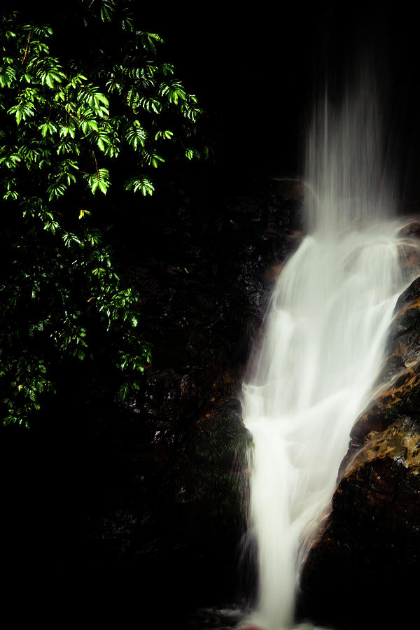 Mysterious Waterfall Photograph by Iris Greenwell