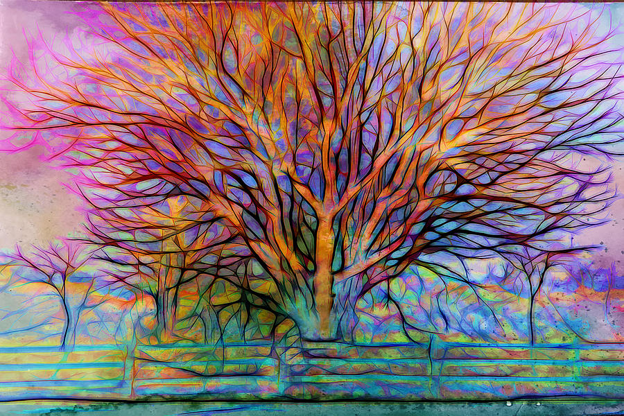 Naked Tree Digital Art by Lilia D