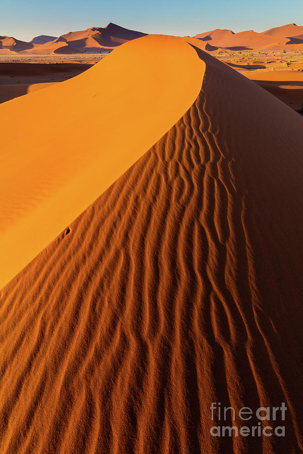 Namib Dune #1 Photograph by Inge Johnsson