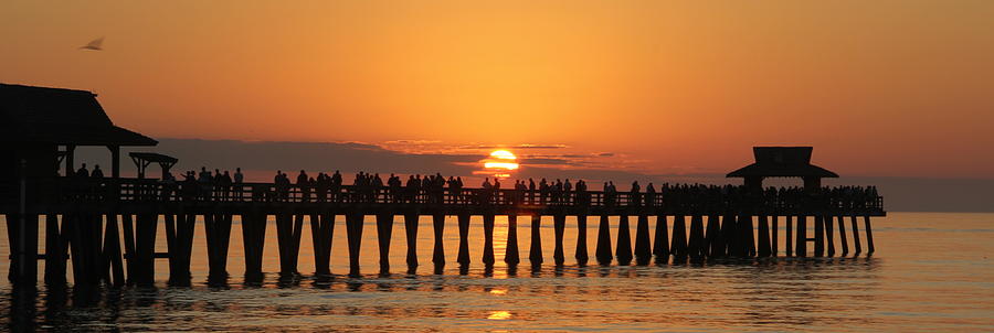 Naples Pier at Sunset #1 Photograph by Sean Allen