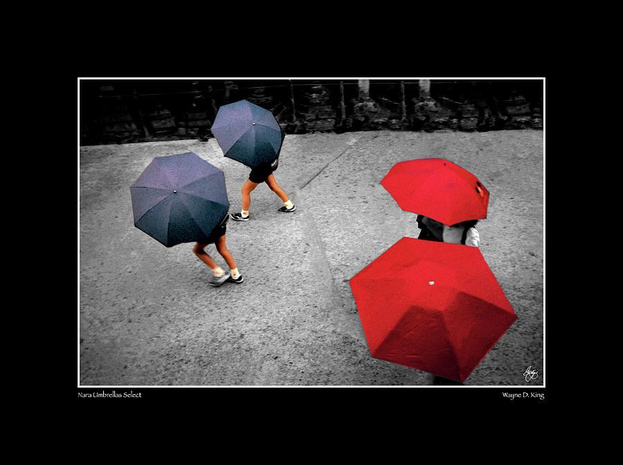 Nara Umbrellas Select Poster Photograph by Wayne King