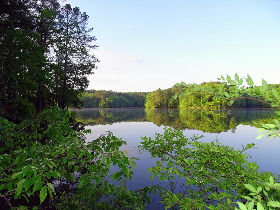 Natchez Trace State Park Lake Photograph by Dawn Amber Hood - Pixels