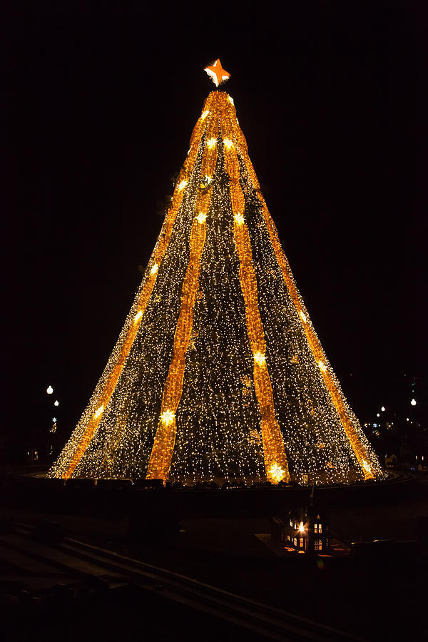 National Christmas Tree #1 Photograph by Erin Cadigan