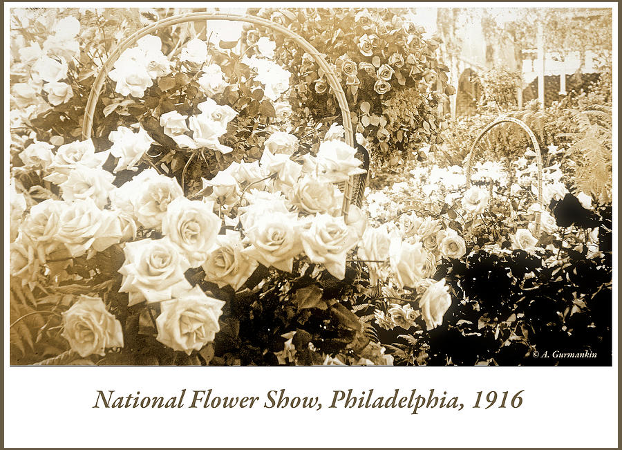 National Flower Show, Philadelphia, 1916 #1 Photograph by A Macarthur Gurmankin