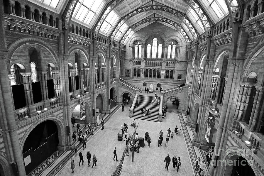 Natural History Museum London #1 Photograph by Julia Gavin