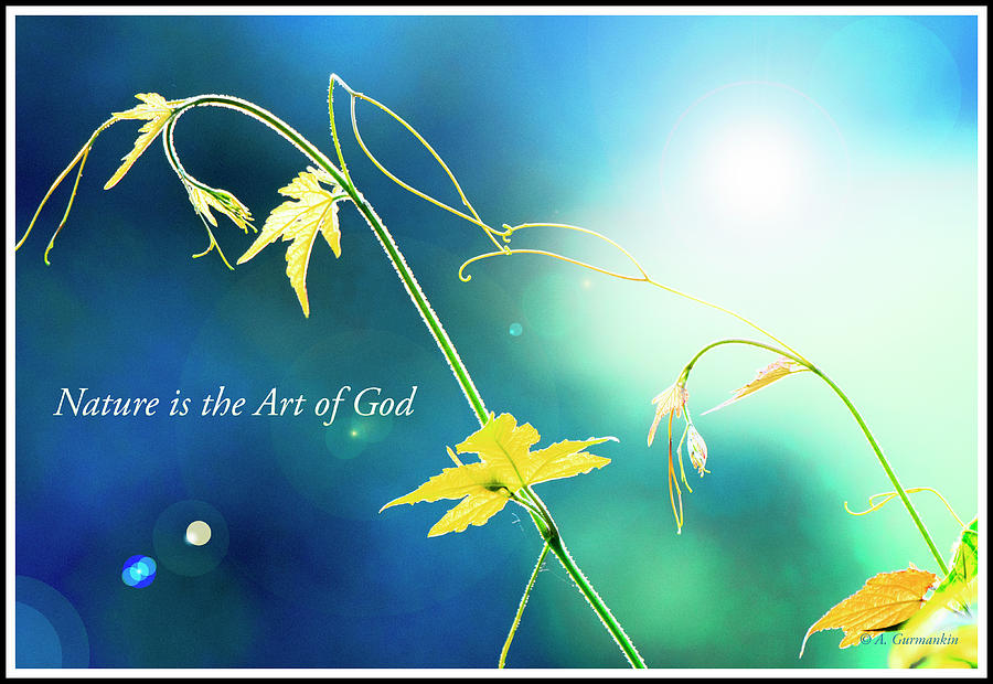 Nature is the Art of God Digital Art by A Macarthur Gurmankin - Fine ...