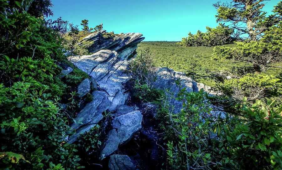 Nature Trail Scenes To Calloway Peak North Carolina #1 Photograph by Alex Grichenko