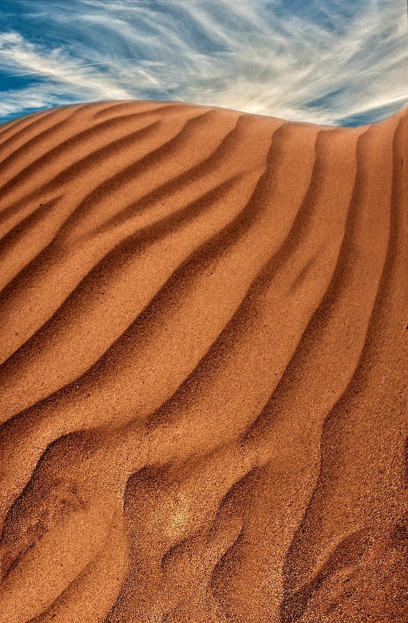 Navajo sand dunes and sky Photograph by Gary Warnimont