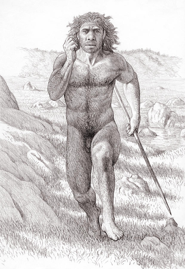 Prehistoric Photograph - Neanderthal Man #1 by Mauricio Anton
