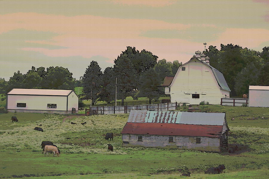 Nebraska Farm Life - The Farm #1 Photograph by Colleen Cornelius