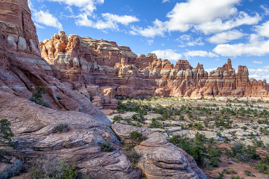 Needles of Canyonlands Photograph by Allen Utzig - Fine Art America