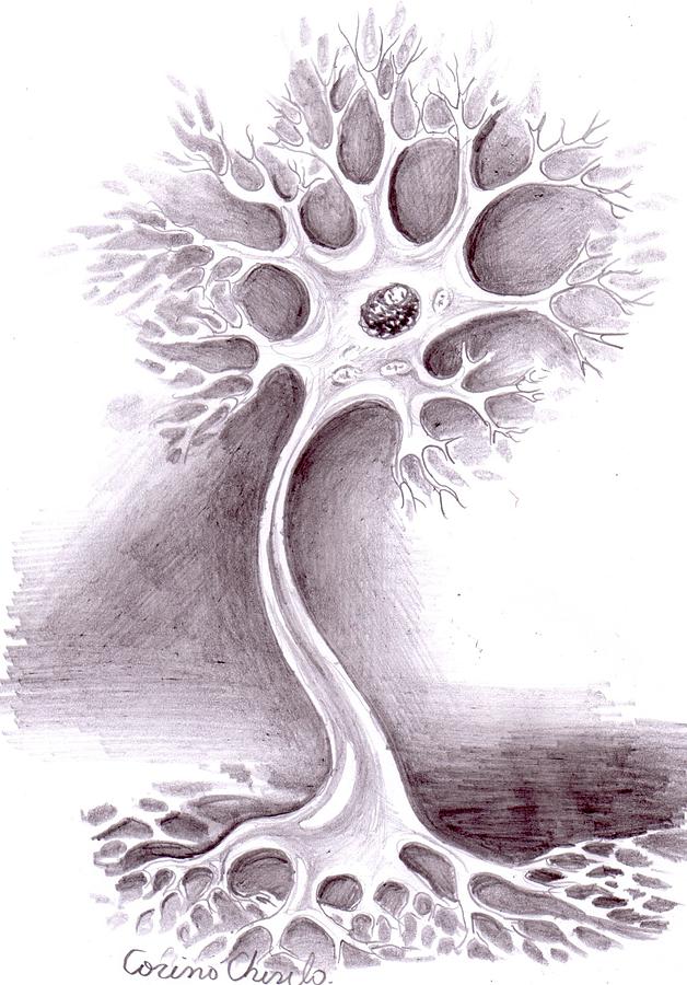 neuron drawing