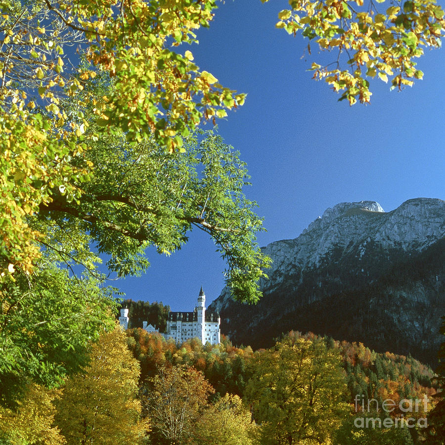 Neuschwanstein Castle Bavaria in autumn 5 Photograph by Rudi Prott
