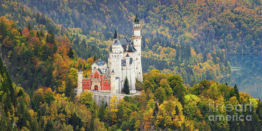 Neuschwanstein Castle In Autumn Colours Photograph