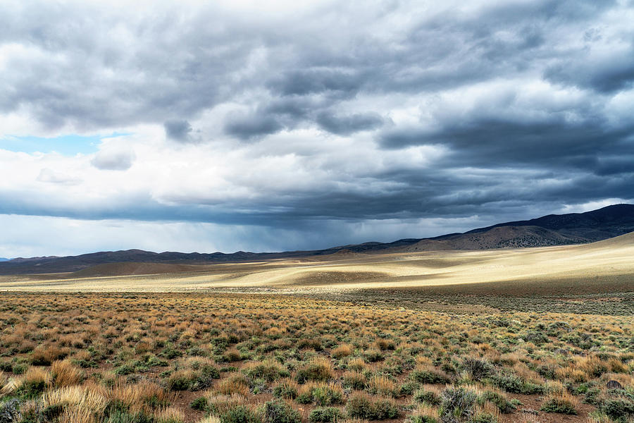 Nevada Desert Valley Photograph