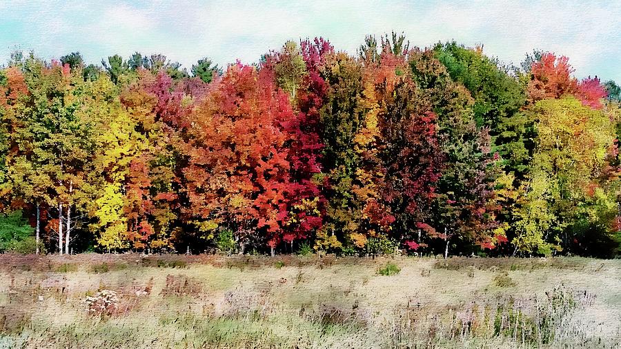 New Hampshires True Colors #1 Photograph by Joseph Hendrix