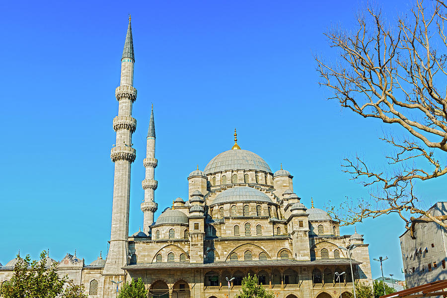 New Mosque in Istanbul, Turkey #2 Photograph by Marek Poplawski