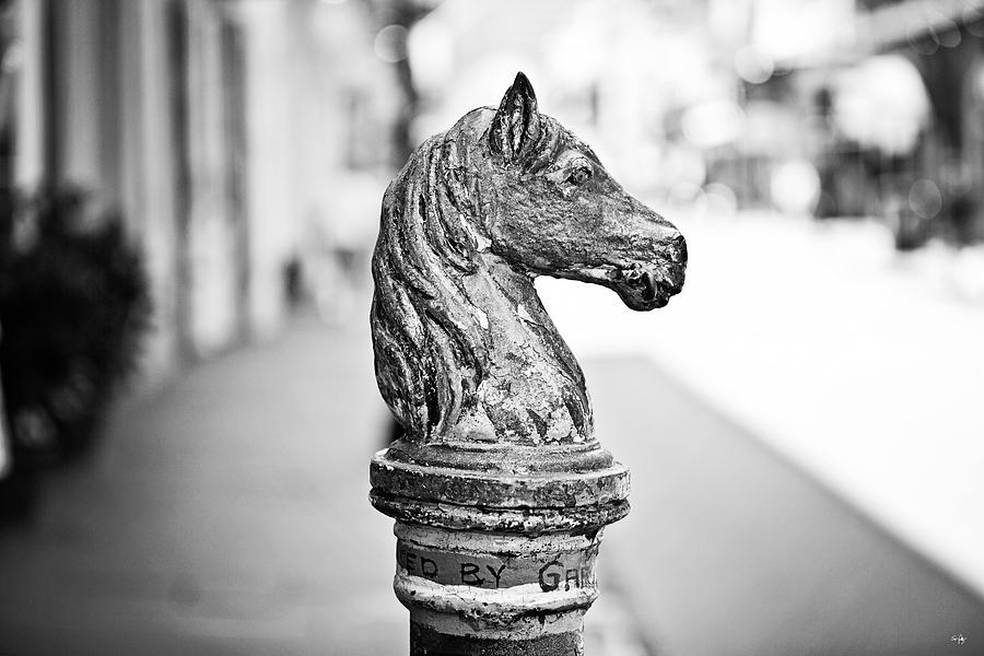 New Orleans Photograph - New Orleans Hitching Post - BW by Scott Pellegrin