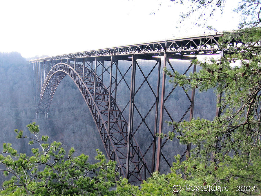 Tree Photograph - New River Gorge Bridge #1 by Carolyn Postelwait