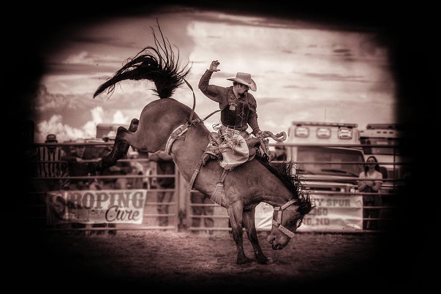 Saddle Bronc Photograph by Chad Rowe