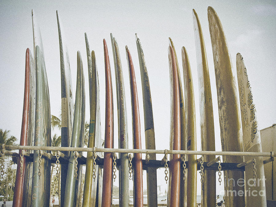 Black And White Photograph - Vintage Style Surfboards Surf Art by Paul Topp