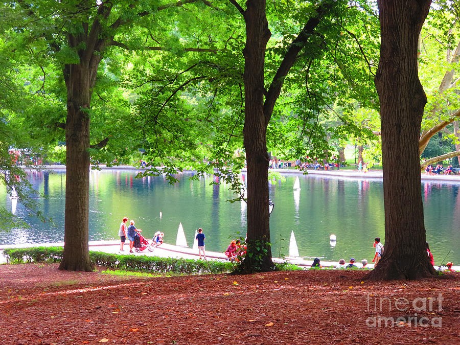 New York Central Park Trees Shades Green Walkways Quite Magical Spaces Around Chaos Fineartamerica Painting