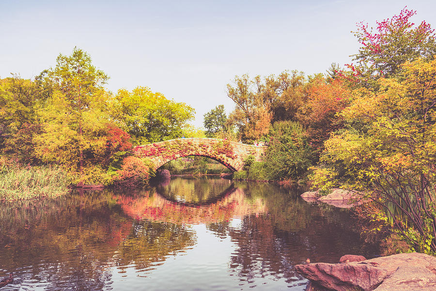 Central Park Photograph - New York City Autumn #1 by Vivienne Gucwa