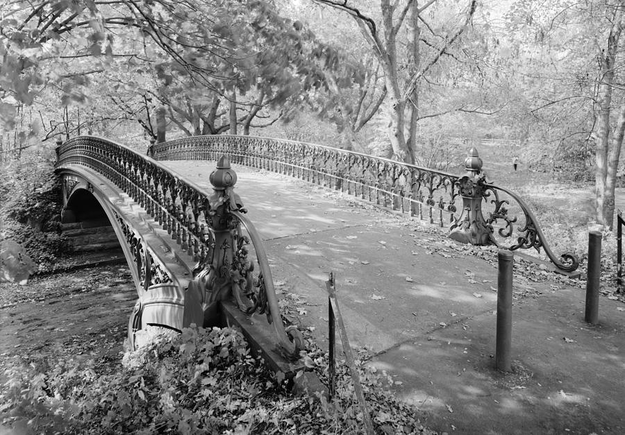 New York City, Central Park, Bridge #1 Photograph by Everett