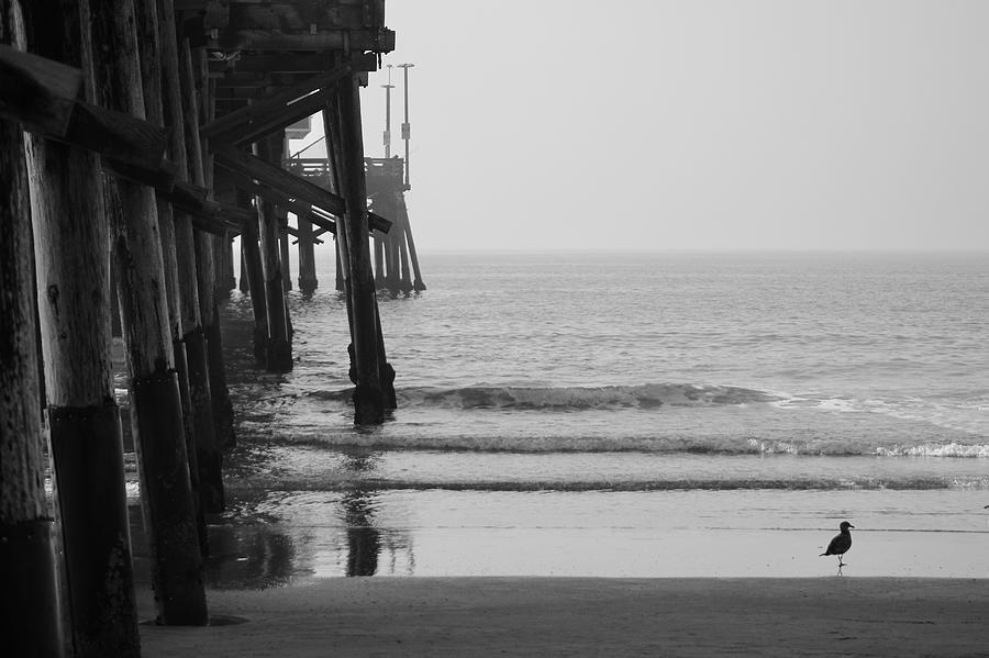 Newport Beach Pier Photograph by Brian Eberly