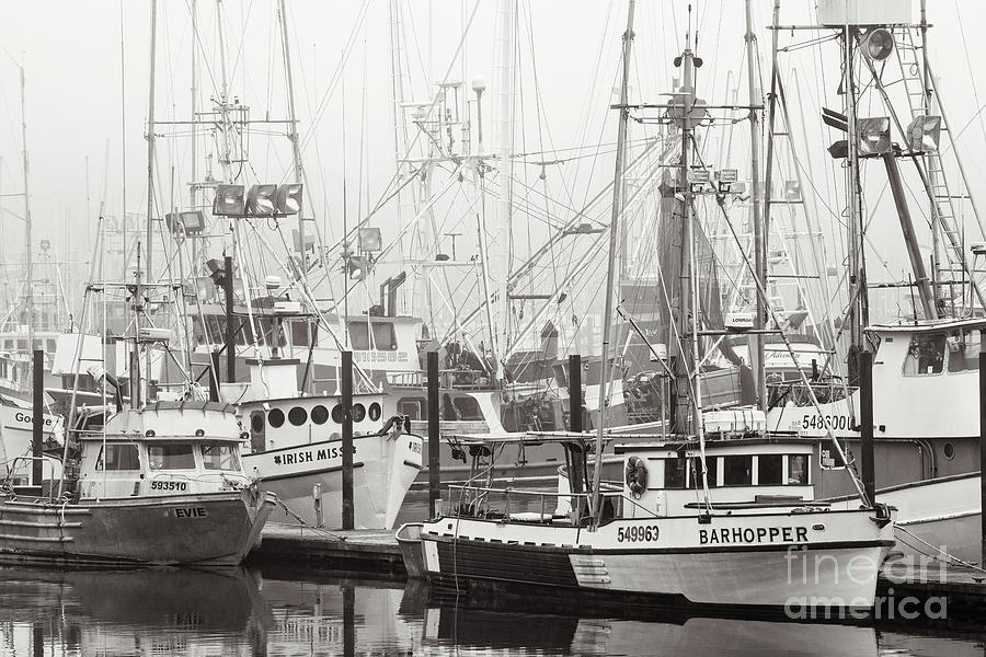 Newport, Oregon Fishing Fleet bw Photograph by Jerry Fornarotto